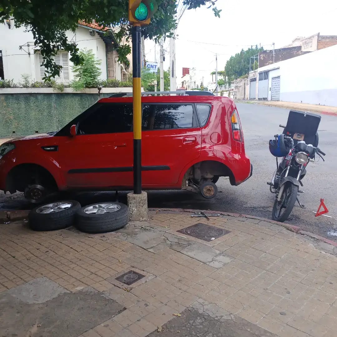 Galería 11